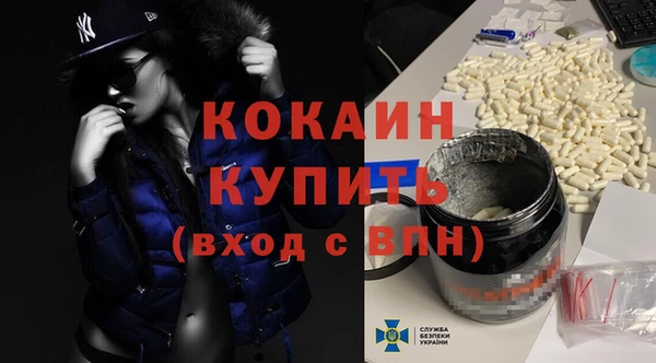 хмурый Арсеньев