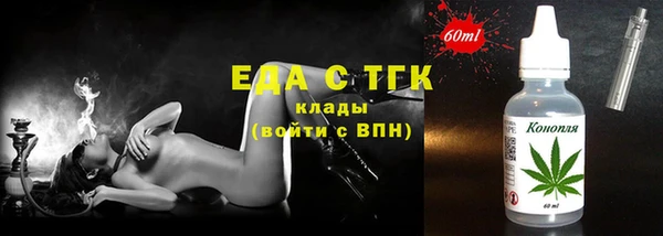 хмурый Арсеньев