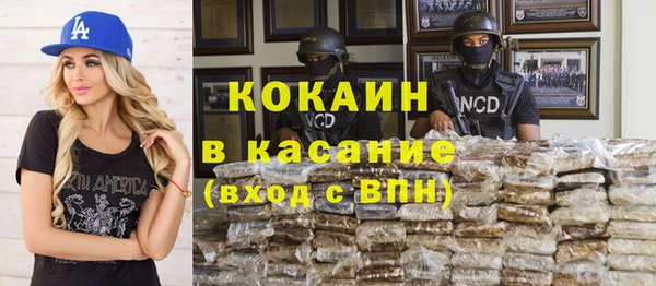 хмурый Арсеньев