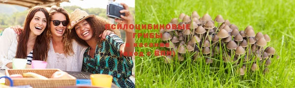 хмурый Арсеньев