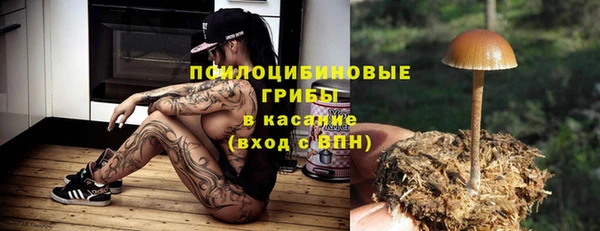 а пвп мука Заводоуковск