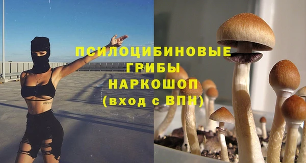 a pvp Армянск
